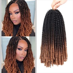 African Female Hairstyle Crotchet Braids