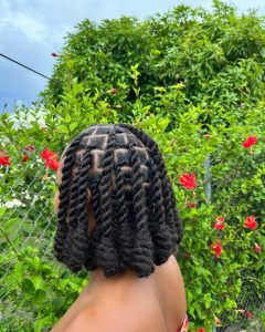 African Hair Short Twists and Locs