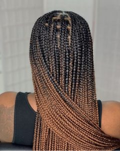 African Female Hairstyles Box Braids