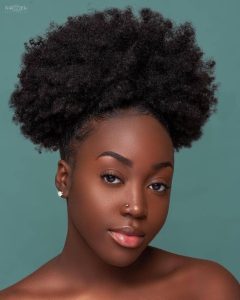 African Hair Afro Puff